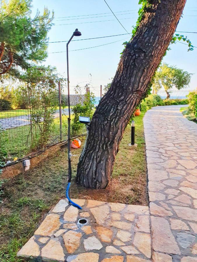 Makis&Fani Homes อายิโอส โยอันนิส ภายนอก รูปภาพ